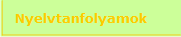 Nyelvtanfolyamok