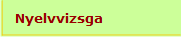 Nyelvvizsga