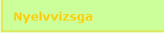 Nyelvvizsga